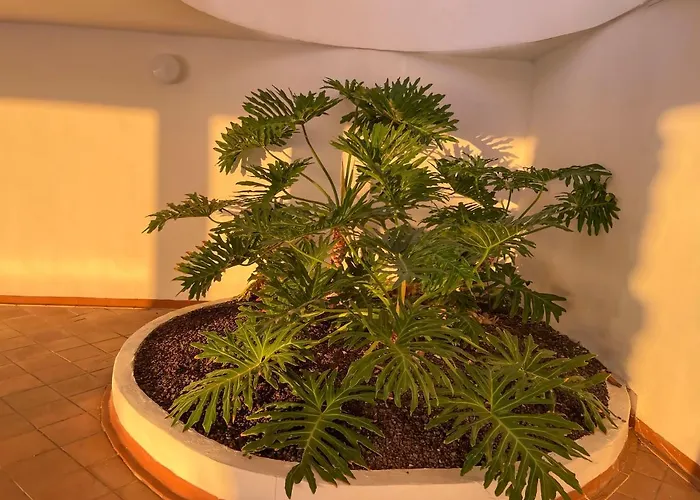 Appartement Sunrise Costa Adeje (Tenerife)